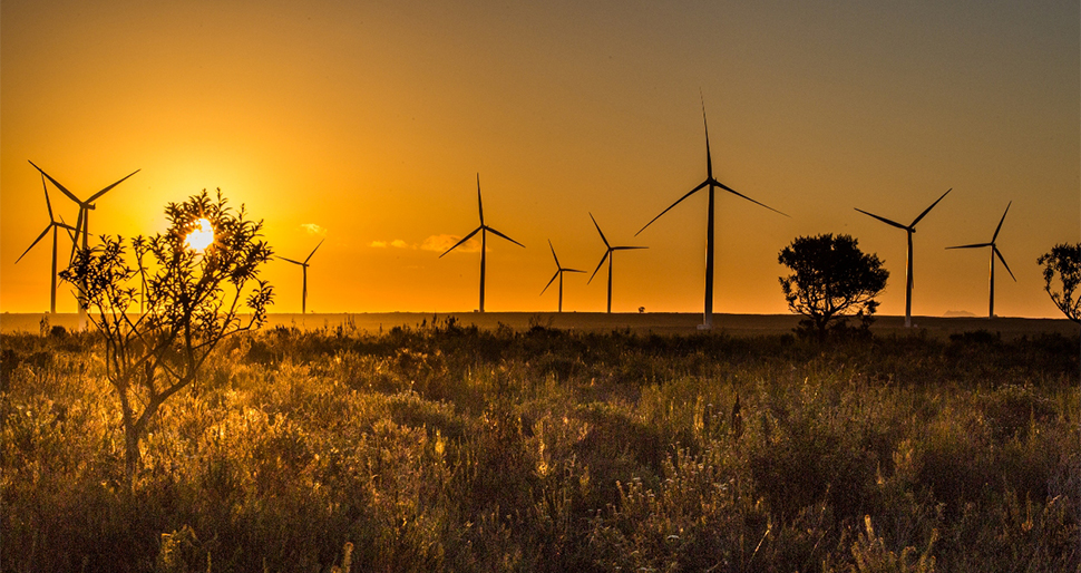 Jeffreys-Bay-Wind-Farm-Sunset-GALLERY